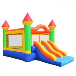 Mega Double Slide Bounce house